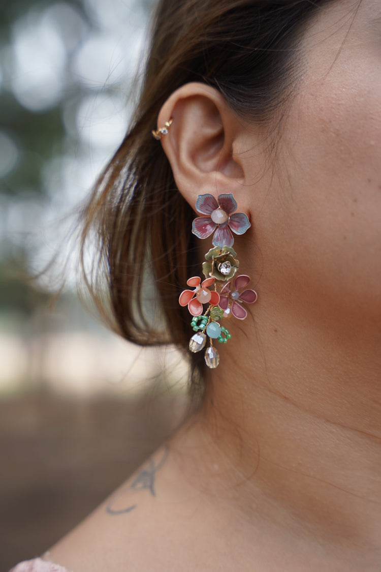 The Rose Collection