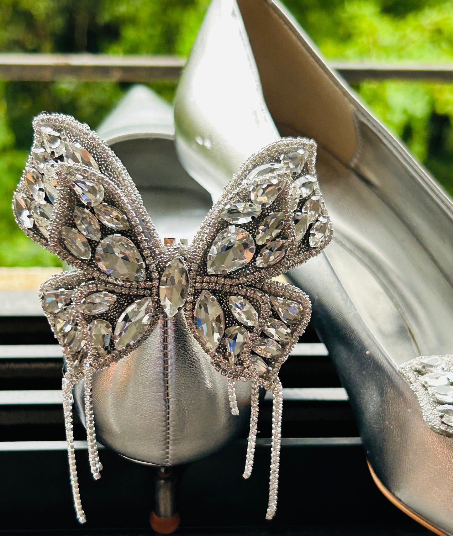 Charm-A-Fly