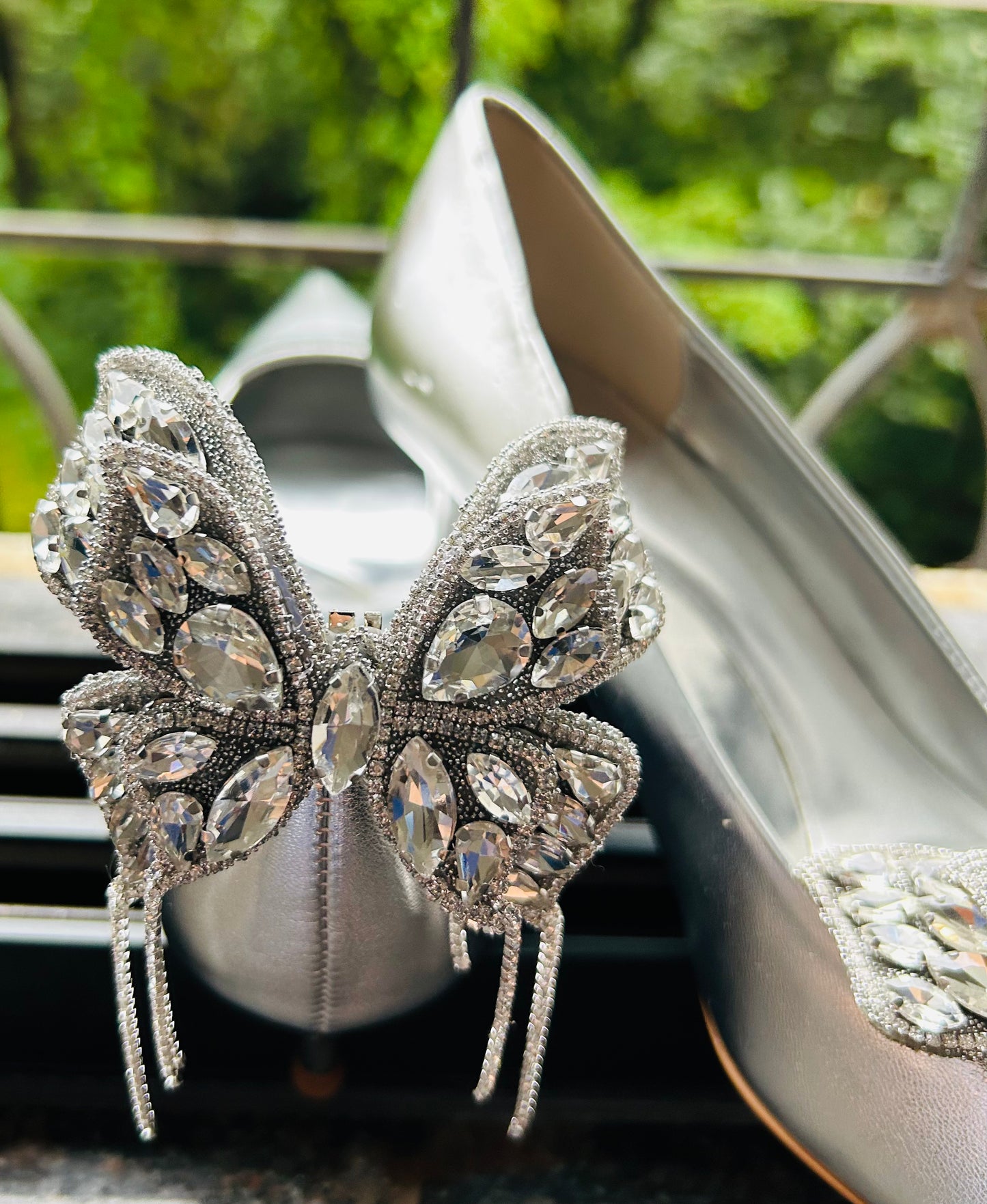 Charm-A-Fly