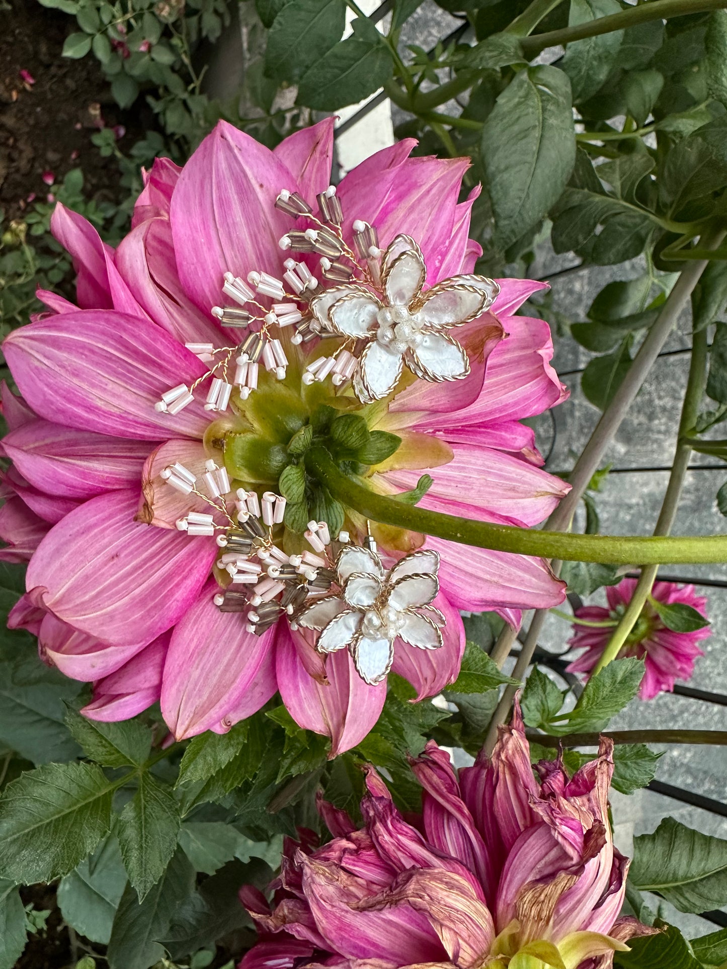 Daisy Dreamcatchers