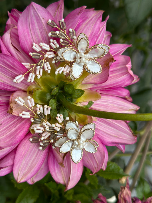 Daisy Dreamcatchers