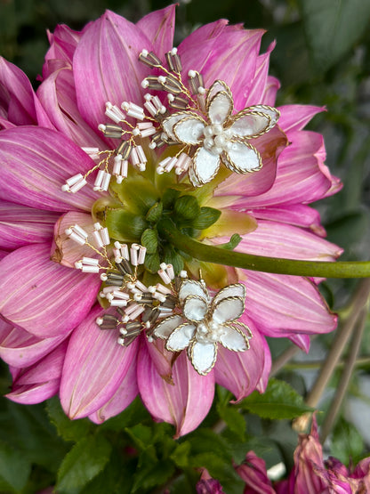 Daisy Dreamcatchers
