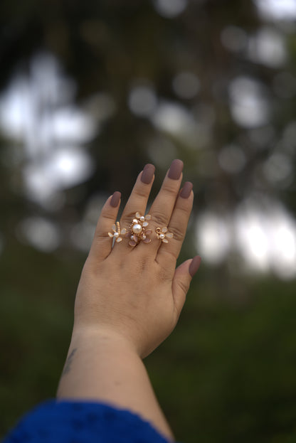 Blush & Bloom