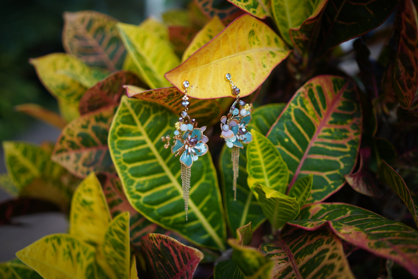 Sapphire Sunbeam