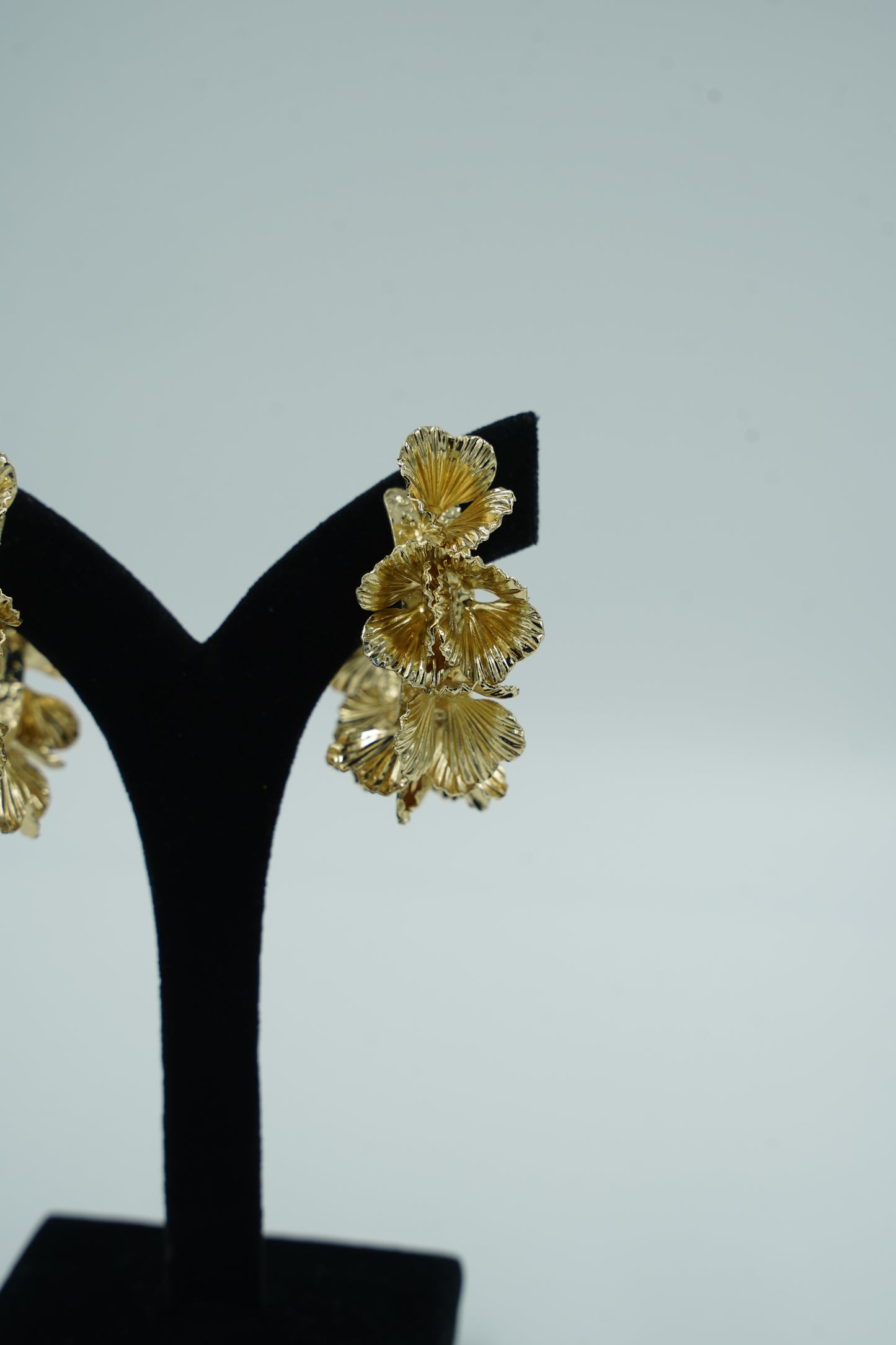 Sterling Marigolds