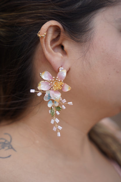 Rose & Reef