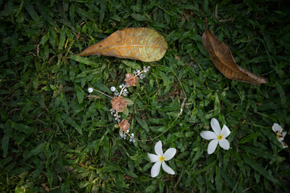 Golden Rosevine