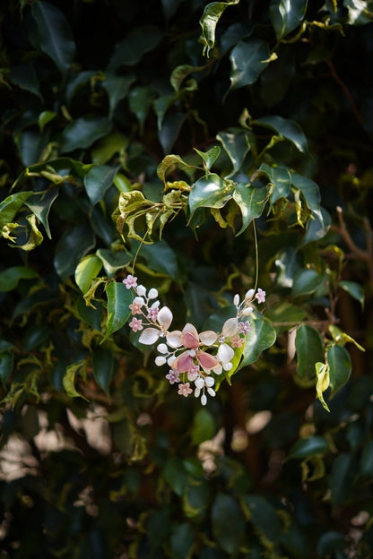 Frost & Petal