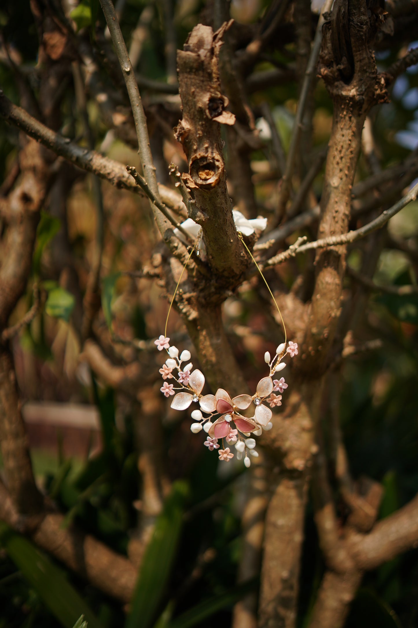 Frost & Petal